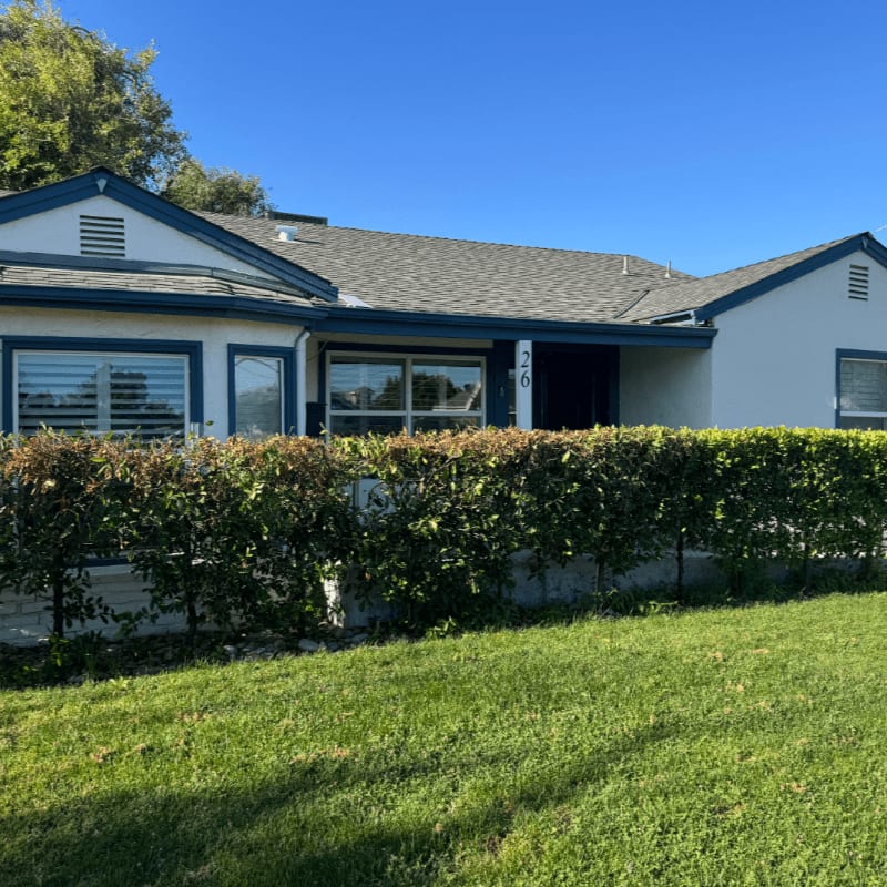 A neatly trimmed green hedge and lawn are in the foreground, with a white house with blue trim and a gray roof in the background under a clear blue sky.