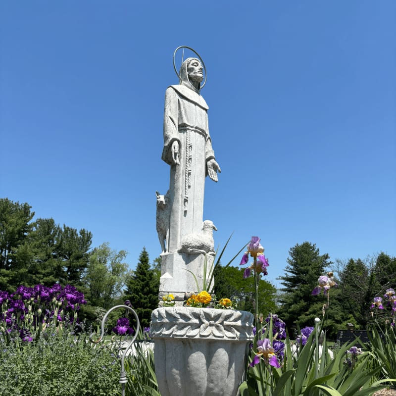 A stone statue of a saint with a halo stands in a garden filled with purple irises and yellow flowers, set against a clear blue sky.
