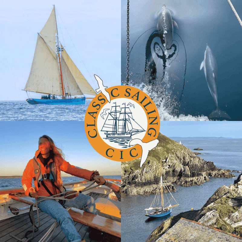 A blue sailboat glides across the water in the top left, while dolphins swim near a ship's hull in the top right, a woman rows a boat in the bottom left, and a small sailboat navigates near a rocky coastline in the bottom right, all surrounding a circular logo with a ship and seagulls.