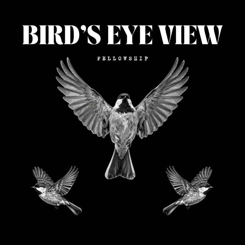 Three birds in flight, with the largest in the center and two smaller ones on either side, are set against a stark black background with the words "BIRD'S EYE VIEW FELLOWSHIP" at the top.