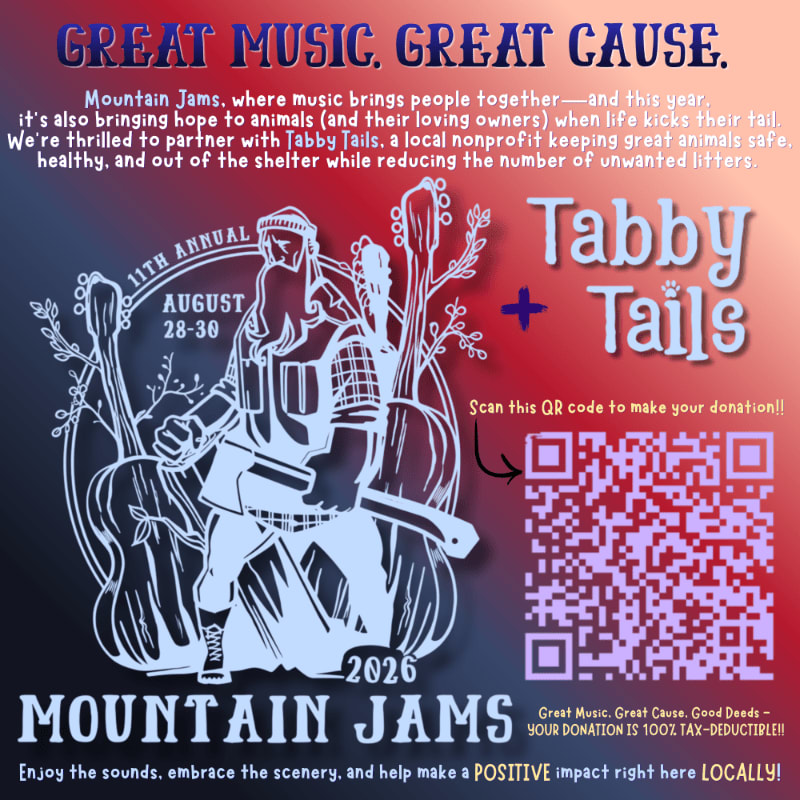 A stylized illustration of a person with guitars in the foreground is set against a gradient background with text promoting the "Mountain Jams" event and a QR code for donations to "Tabby Tails."