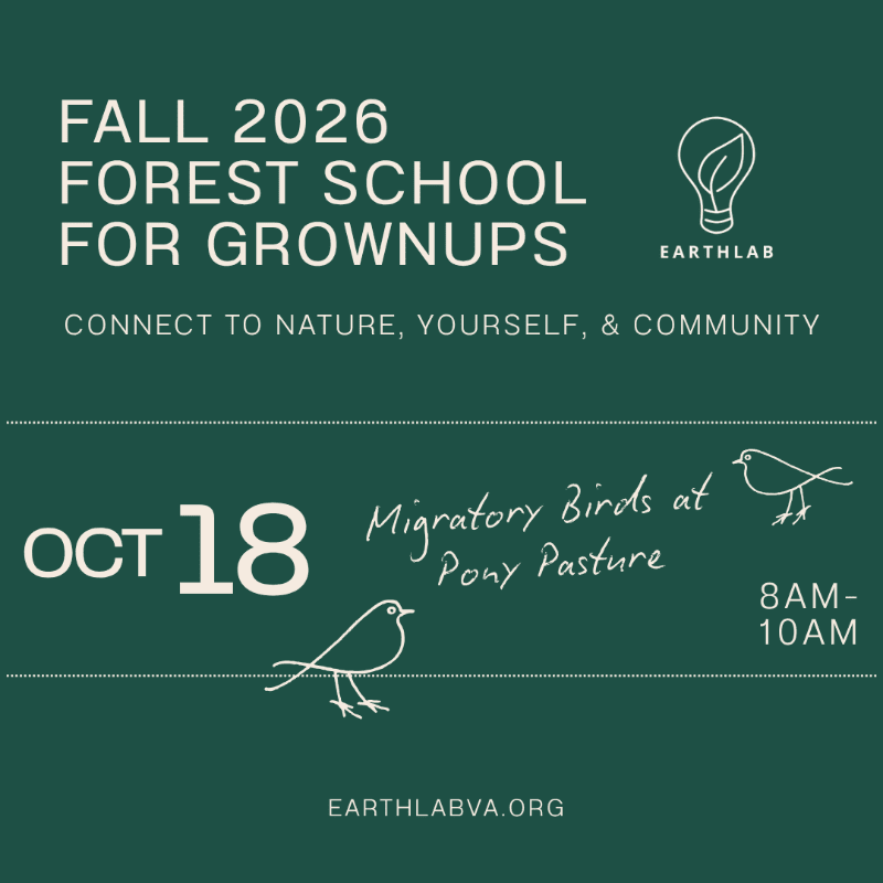A dark green background features white text announcing "FALL 2026 FOREST SCHOOL FOR GROWNUPS" and event details, with line drawings of birds in the foreground.