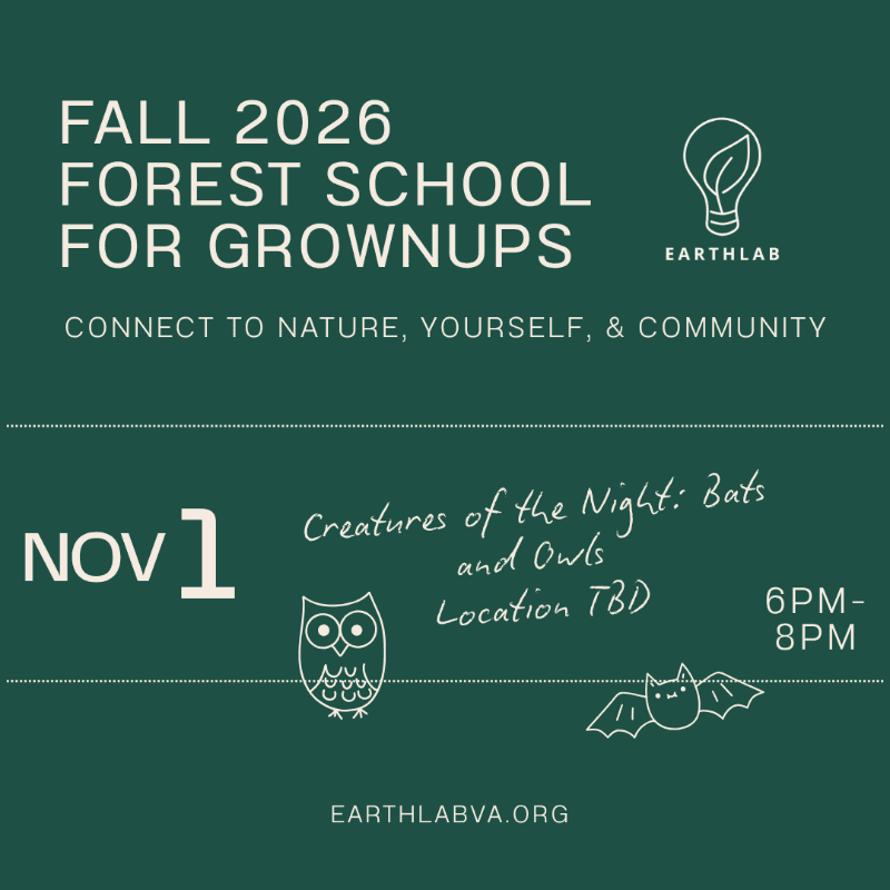 A dark green background features white text announcing "FALL 2026 FOREST SCHOOL FOR GROWNUPS" and event details, with a stylized lightbulb logo and illustrations of an owl and a bat in the foreground.