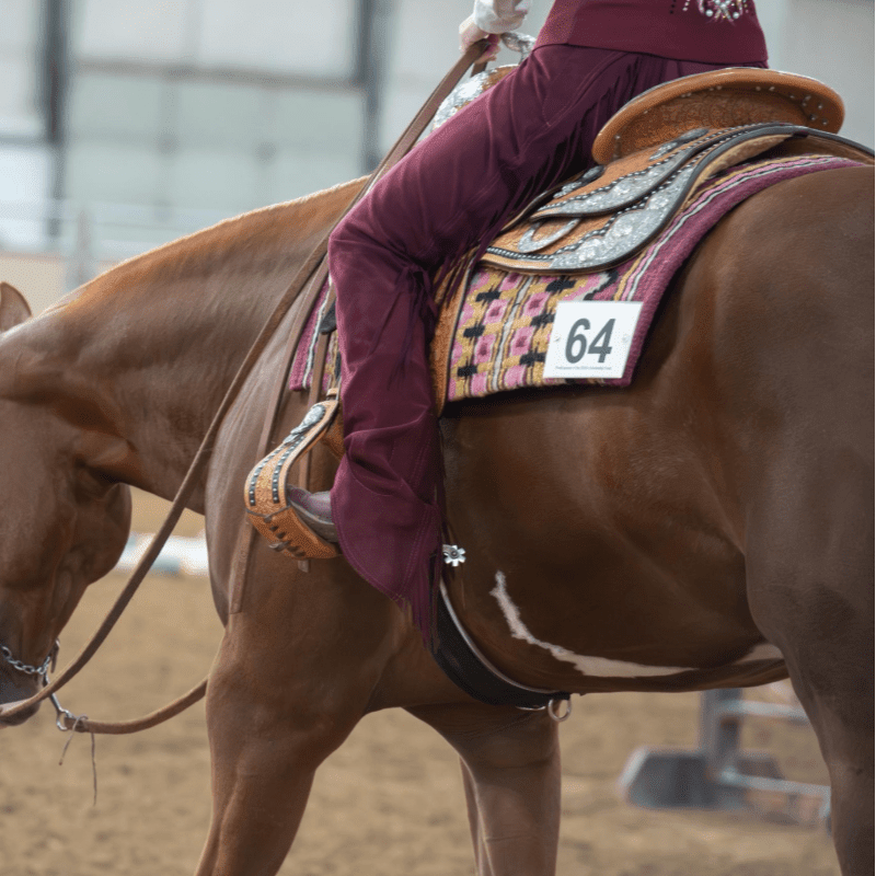 A rider in maroon pants sits on a brown horse with a decorated saddle, while a sandy arena floor and blurred background suggest an indoor equestrian event.