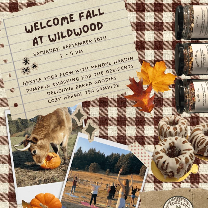 A fall-themed flyer for "Welcome Fall at Wildwood" features a cow with a pumpkin in the foreground and a yoga class in the background, set against a checkered tablecloth with donuts and spice jars.