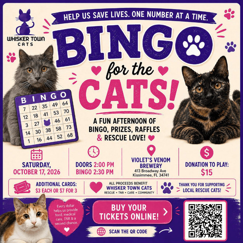 A colorful flyer for a "Bingo for the Cats!" event at Violet's Venom Brewery features two cats in the foreground and event details in the background.