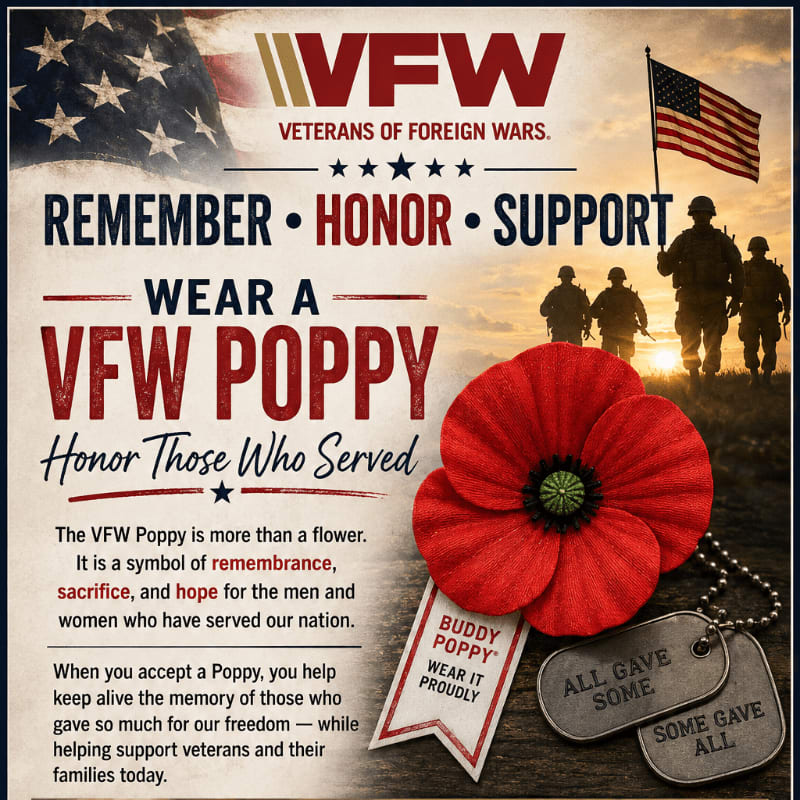 A large red VFW Poppy rests in the foreground next to dog tags, while silhouetted soldiers march towards an American flag in the background.