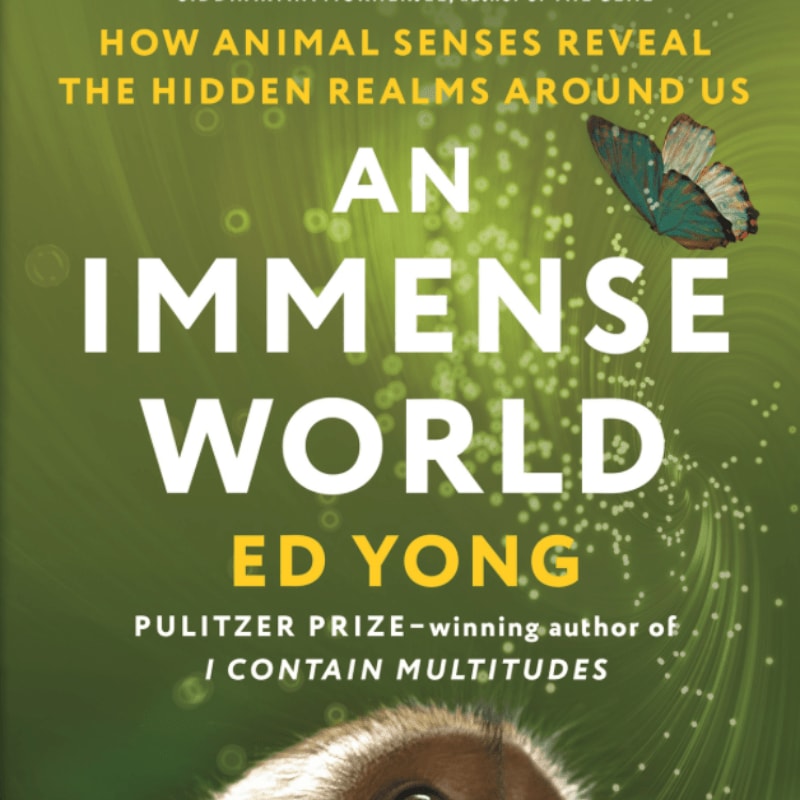 A butterfly flutters in the upper right corner against a green, bokeh-filled background, with the title "AN IMMENSE WORLD" prominently displayed in large white letters.