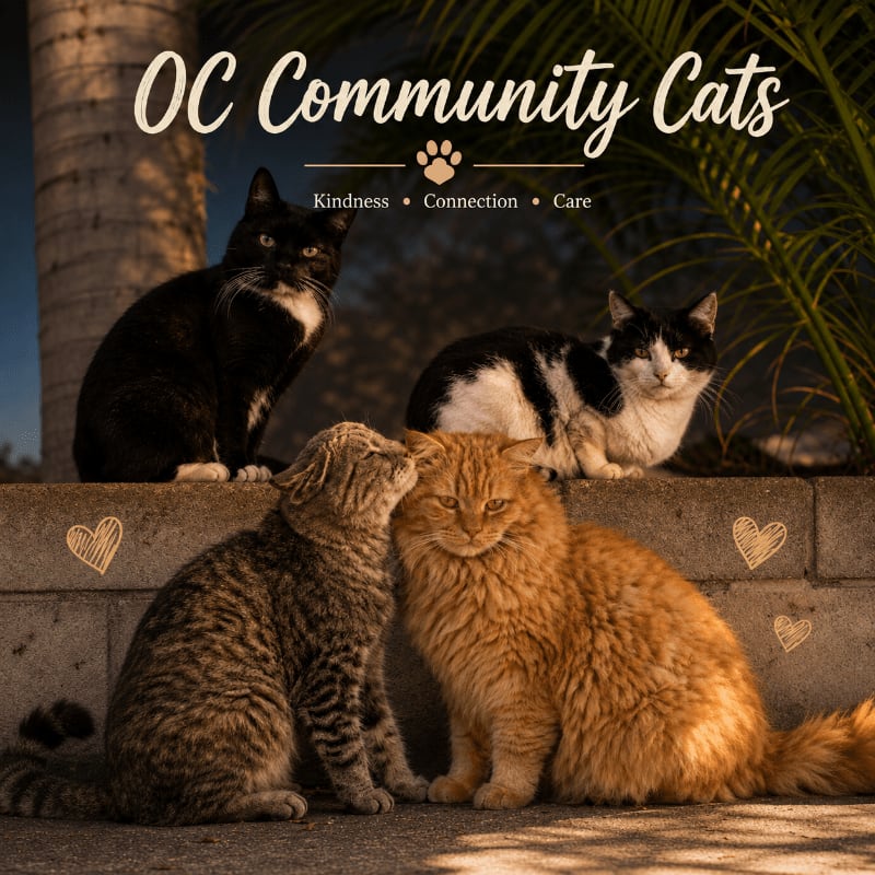 Four cats, two in the foreground nuzzling and two in the background perched on a wall, are framed by palm fronds and a twilight sky.