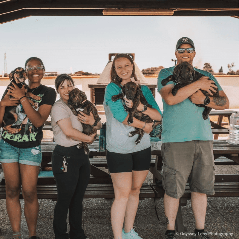 Four people stand in the foreground holding puppies, with a picnic table and outdoor fireplace visible in the background.