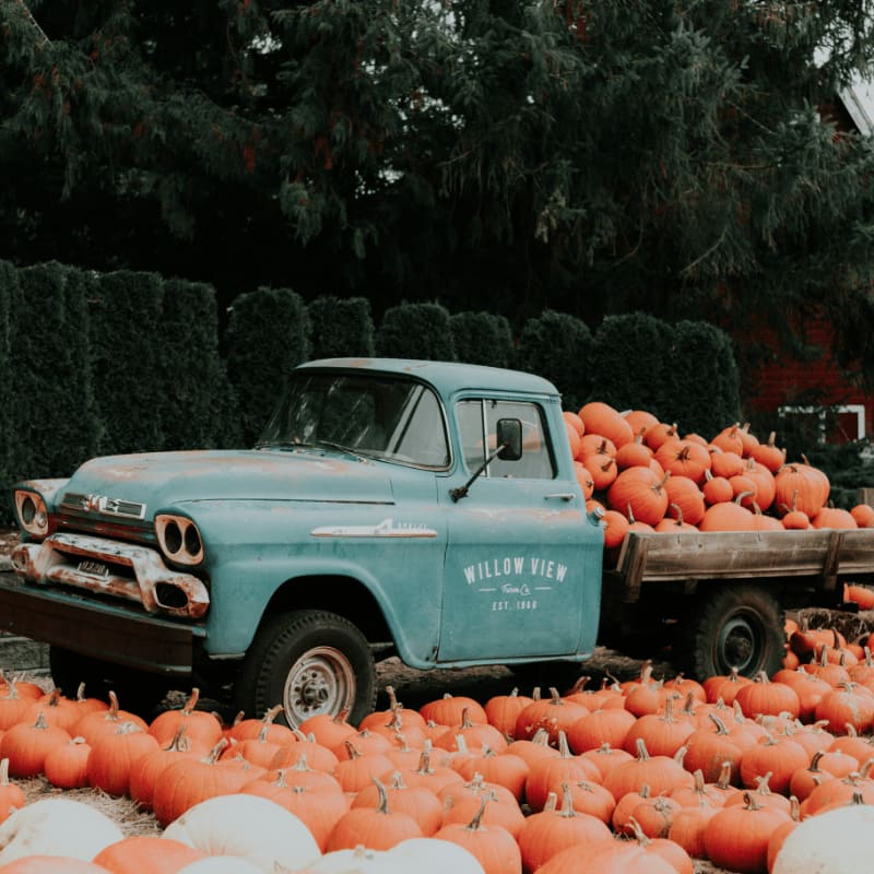 green single cab pickup truck carrying squash