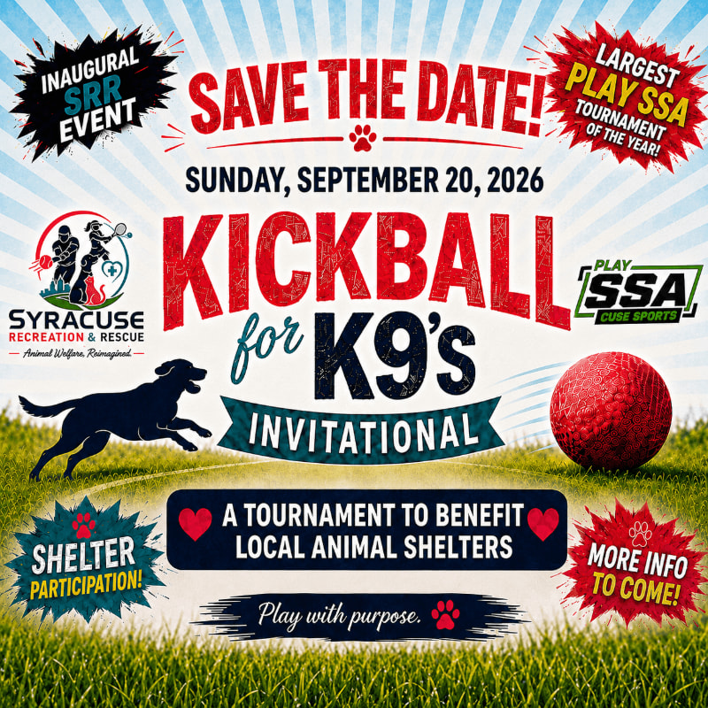 A silhouetted dog runs on grass in the foreground, with a red kickball to its right, against a background advertising a "Kickball for K9's Invitational" event.
