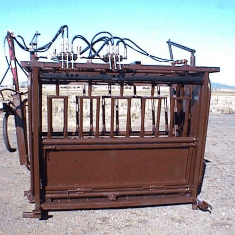 A rusty metal cattle chute with hydraulic hoses is in the foreground, set against a backdrop of a dry, open field under a clear blue sky.