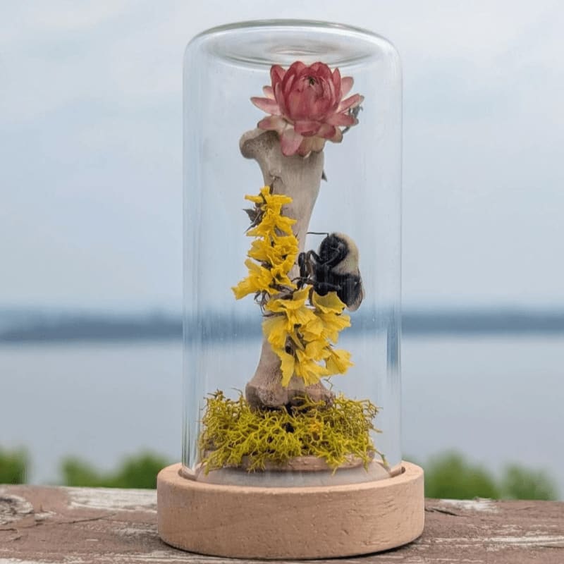 A bumblebee is perched on yellow flowers and a mushroom under a glass dome, with a blurred body of water in the background.