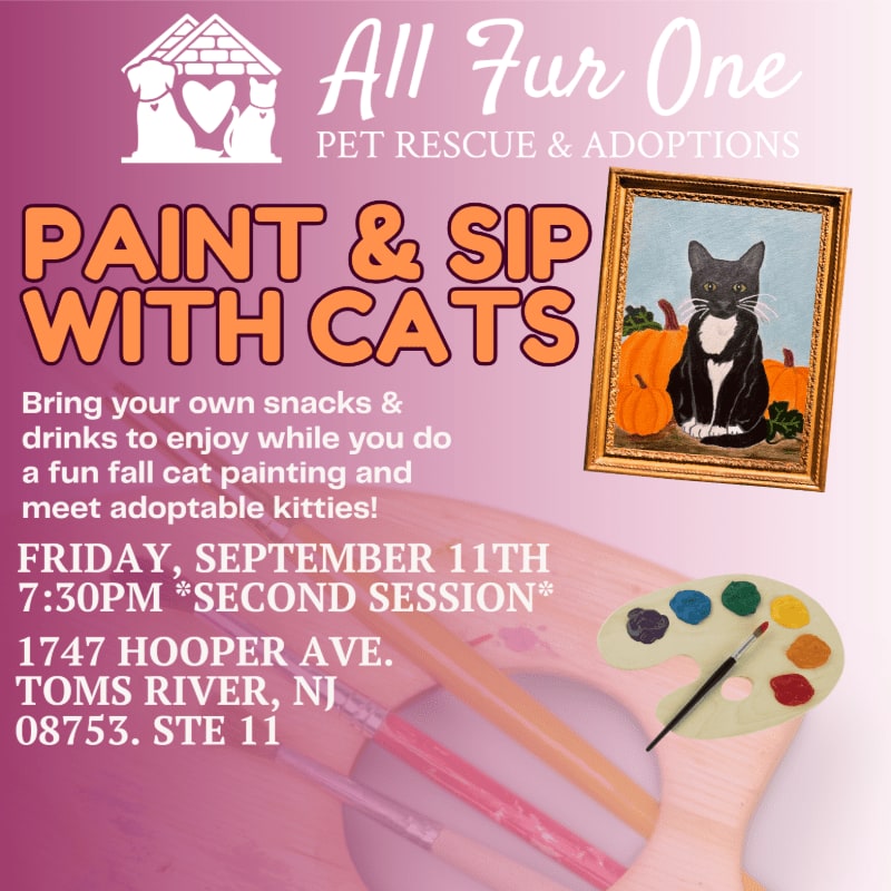 A flyer for a "Paint & Sip with Cats" event in Toms River, NJ, features a painting of a cat with pumpkins in the foreground and event details in the background.