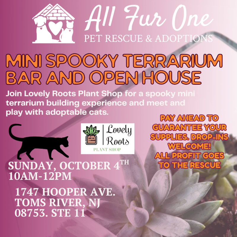 A black cat silhouette stands in the foreground against a pink and purple background advertising a "Mini Spooky Terrarium Bar and Open House" hosted by "All Fur One Pet Rescue & Adoptions" and "Lovely Roots Plant Shop."