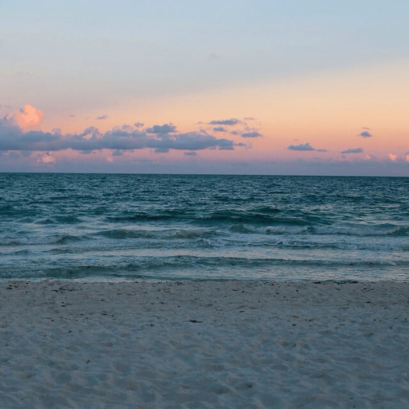 seashore with sea during golden hour