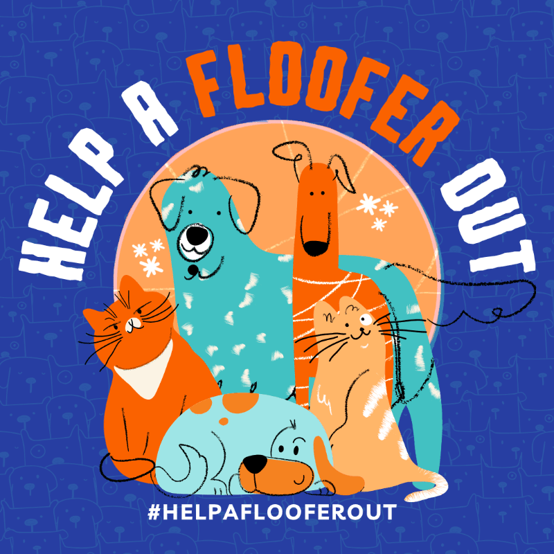 A group of cartoon dogs and cats are huddled together in the foreground, with the words "HELP A FLOOFER OUT" arching over them against a blue background with a subtle paw print pattern.