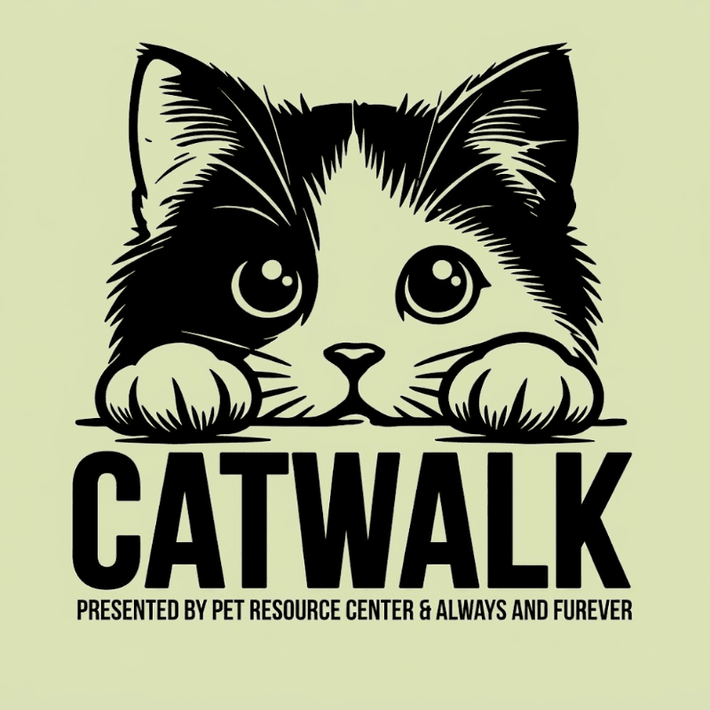 A black and white kitten peeks over the word "CATWALK" against a pale yellow background.