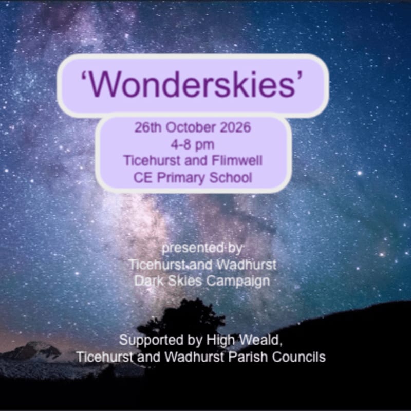 A starry night sky with a silhouette of trees in the foreground serves as the backdrop for an event announcement titled 'Wonderskies'.