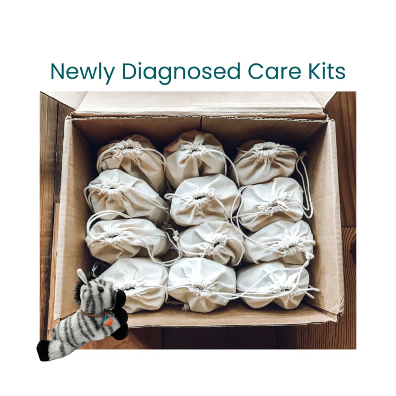A cardboard box filled with small, drawstring bags sits on a wooden surface, with a stuffed zebra toy in the foreground and the text "Newly Diagnosed Care Kits" above.