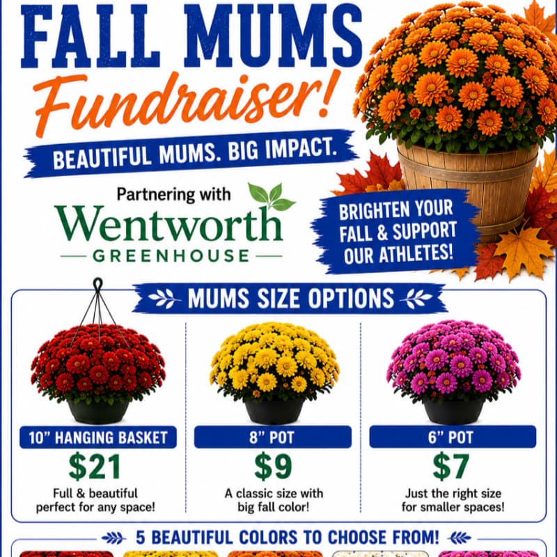 In the foreground, three potted mums of different sizes and colors are displayed with their prices, while the background features a large pot of orange mums and fall leaves, along with text announcing a fall mums fundraiser.