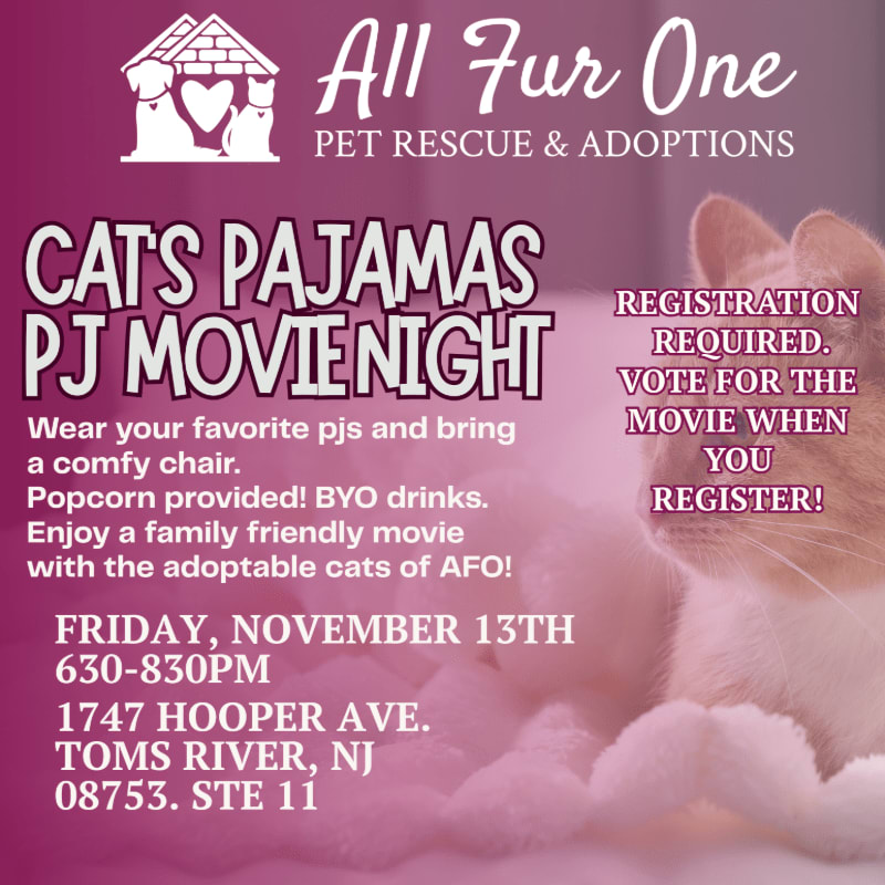 A fluffy cat in the foreground is partially obscured by text advertising a "Cats Pajamas PJ Movie Night" hosted by "All Fur One Pet Rescue & Adoptions" in Toms River, NJ.