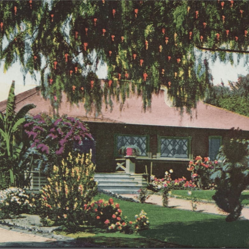 A charming bungalow with a lush, colorful garden in the foreground is shaded by a tree laden with small red fruits in the background.