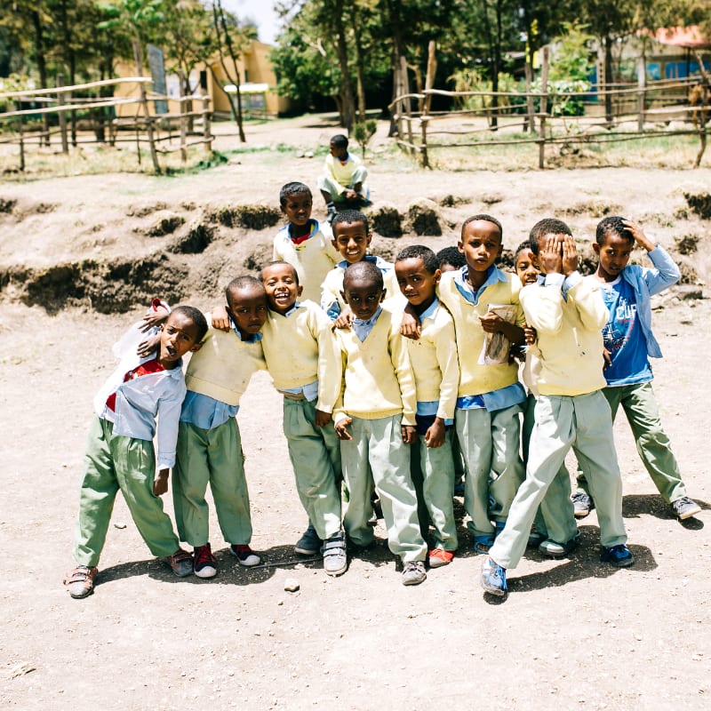 A group of children in yellow shirts and green pants stand together in the foreground, with a wooden fence and trees in the background.