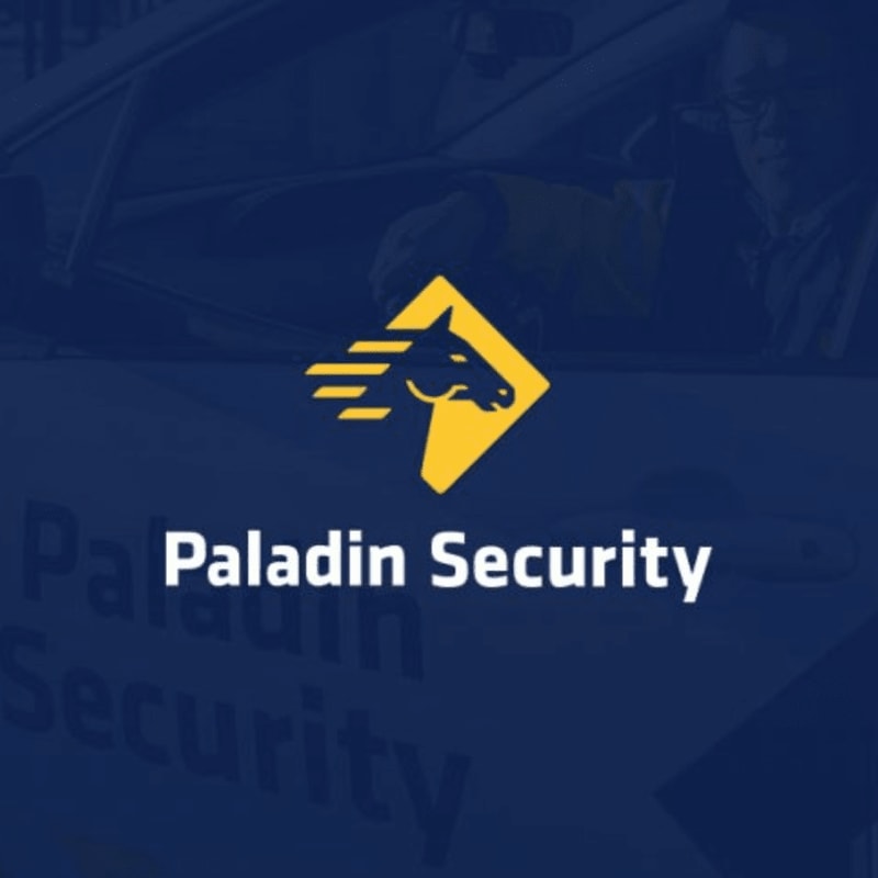 A yellow horse logo with "Paladin Security" written below it is superimposed on a dark blue background with a blurred car interior in the foreground.