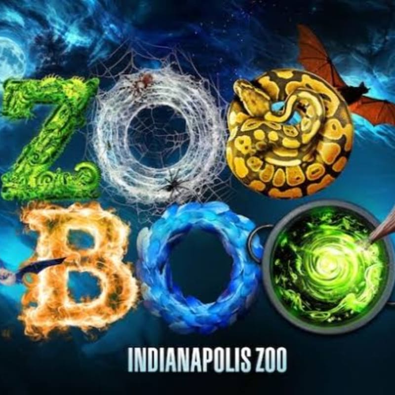 The foreground features the word "ZOO" creatively formed by a snake, spiderwebs, fire, and a swirling blue ring, with a bubbling green cauldron on the right, all set against a dark, cloudy background with a bat flying in the upper right corner.