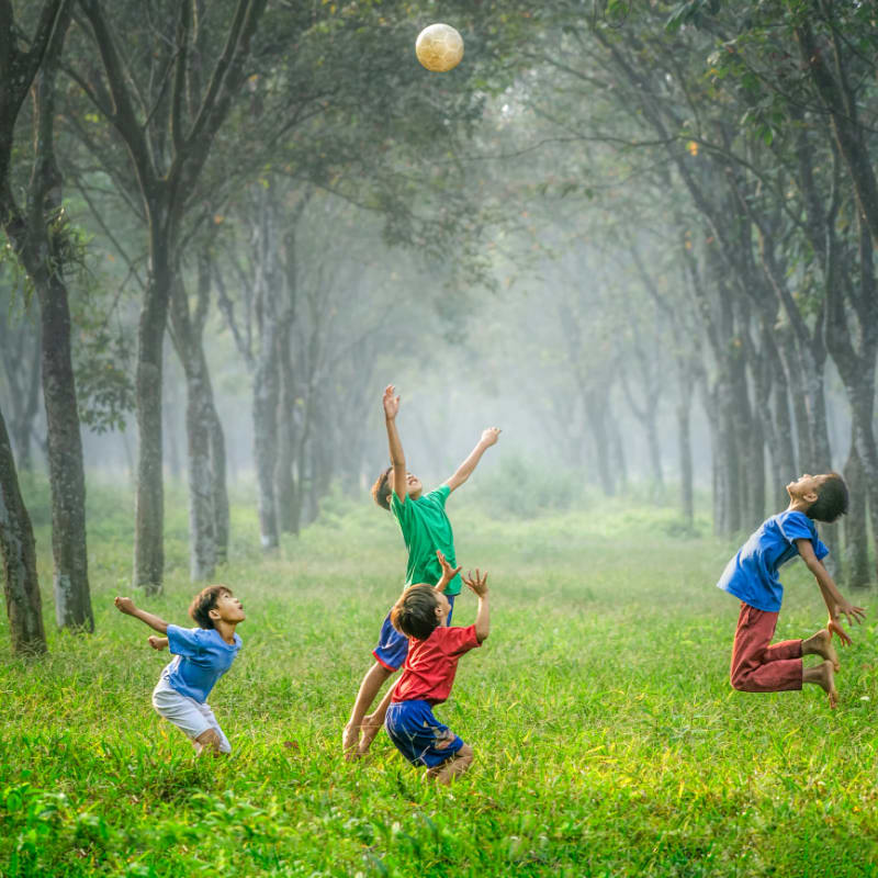 four boy playing ball on green grass