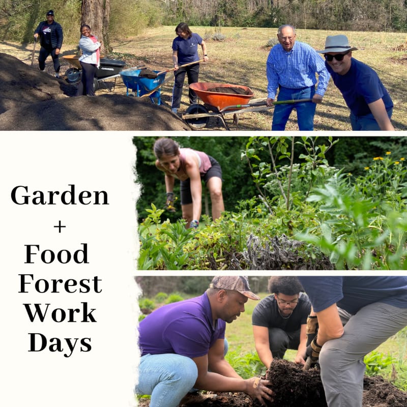 People are working in a garden with a text overlay that says "Garden + Food Forest Work Days."