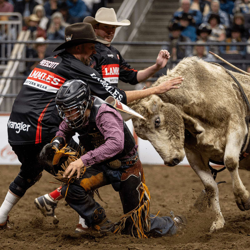 In the foreground, a bull rider kneels on the dirt as two rodeo clowns in black shirts and cowboy hats attempt to control a charging bull, while the background shows a blurred crowd in a stadium.