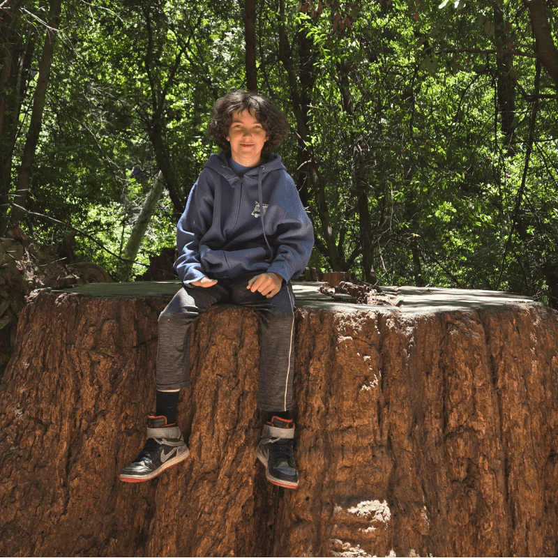 A young boy with curly hair sits on a large tree stump in the foreground, with a lush green forest in the background.