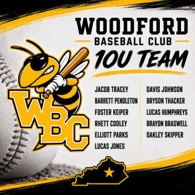 A cartoon bee mascot holding a baseball bat stands in front of a baseball, with the "Woodford Baseball Club 10U Team" roster listed in the background.