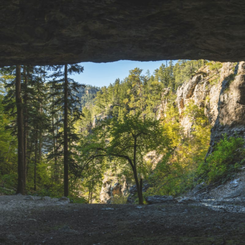 a view from inside a cave of trees and mountains