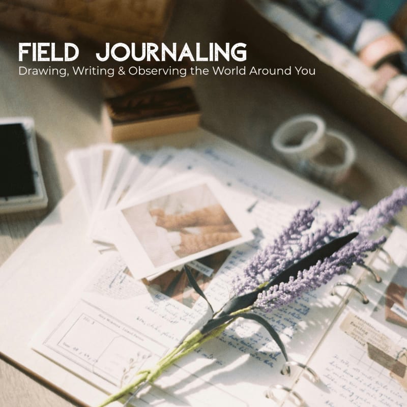 A sprig of lavender rests on a journal filled with handwritten notes and photos, with a box of washi tape and an ink pad visible in the blurred background.