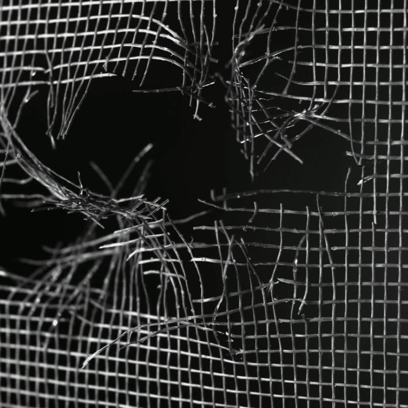 A torn window screen with frayed edges is in the foreground, revealing a dark, out-of-focus background.