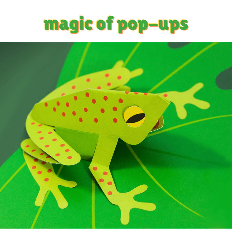 A green pop-up frog with red spots sits on a large green leaf, with the words "magic of pop-ups" in green text above it.