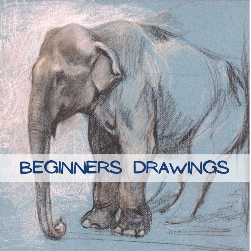 A pastel drawing of an elephant in the foreground is set against a light blue, textured background with the words "BEGINNERS DRAWINGS" overlaid.