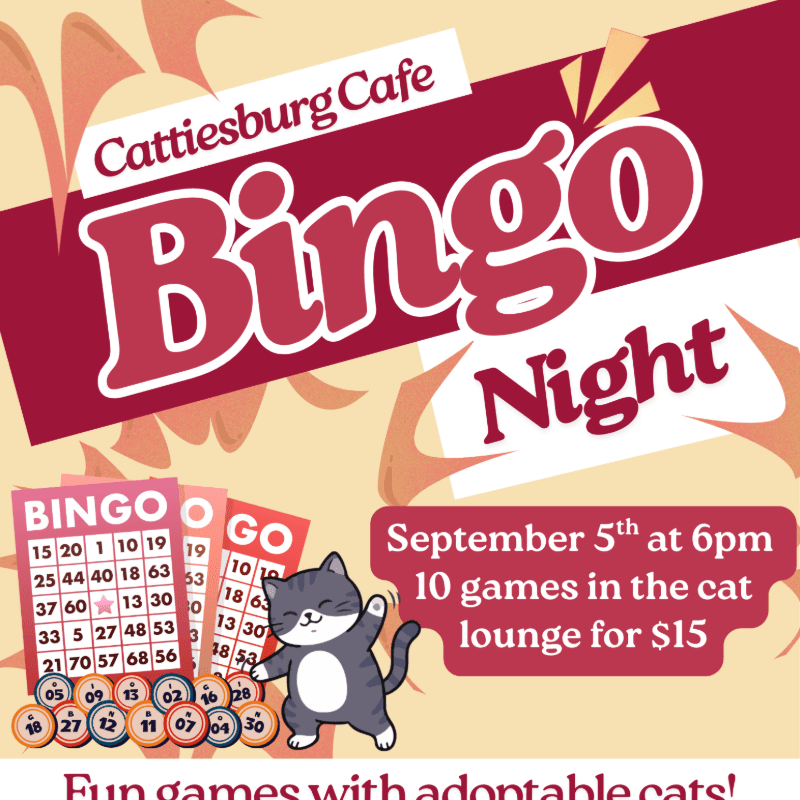 A cartoon cat stands next to bingo cards and event details for "Cattiesburg Cafe Bingo Night" against a warm, abstract background.