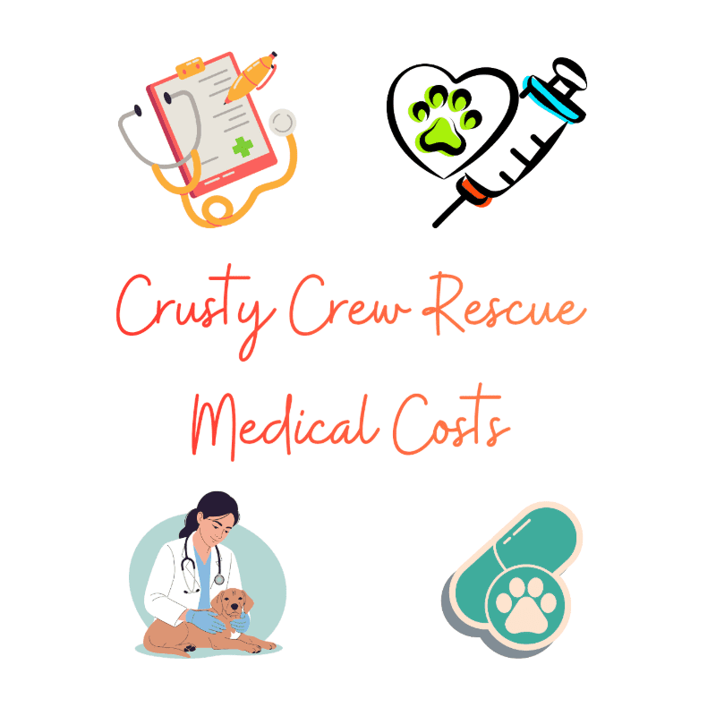 Four veterinary-themed icons, including a clipboard with a stethoscope, a heart with a paw print and syringe, a veterinarian with a dog, and a pill with a paw print, are arranged around the text "Crusty Crew Rescue Medical Costs" on a white background.