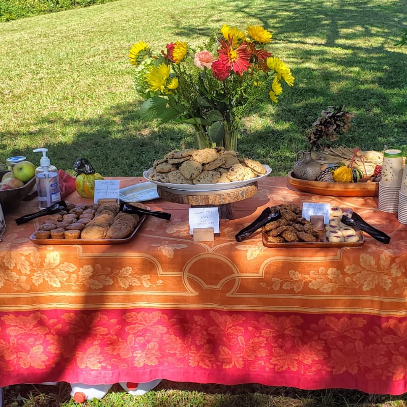 A table laden with cookies and a vase of flowers is set on a lawn with a grassy background.