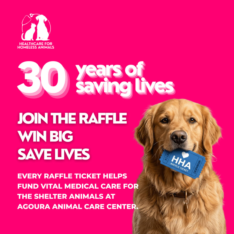 A golden retriever holds a raffle ticket in its mouth against a bright pink background with text announcing a 30-year anniversary of saving lives.