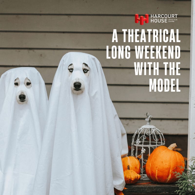 Two dogs in ghost costumes stand on a porch with pumpkins and a decorative cage, against a backdrop of a white-paneled house.