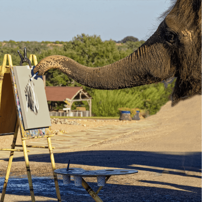An elephant's trunk paints on a canvas on an easel in the foreground, with a rustic building and trees in the background.