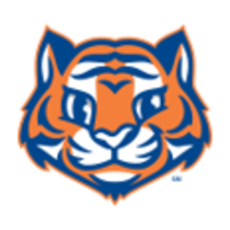 A cartoon tiger's face with orange and blue markings is centered on a white background.