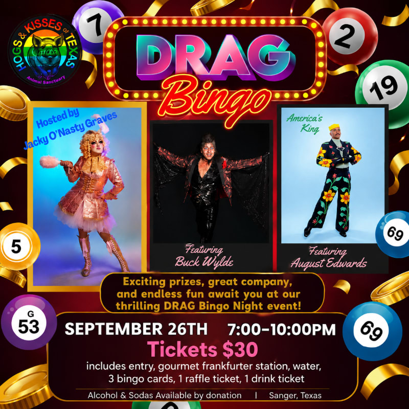 Glittering bingo balls and gold ribbons frame a vibrant poster advertising a "Drag Bingo Night" featuring three performers, with event details at the bottom.