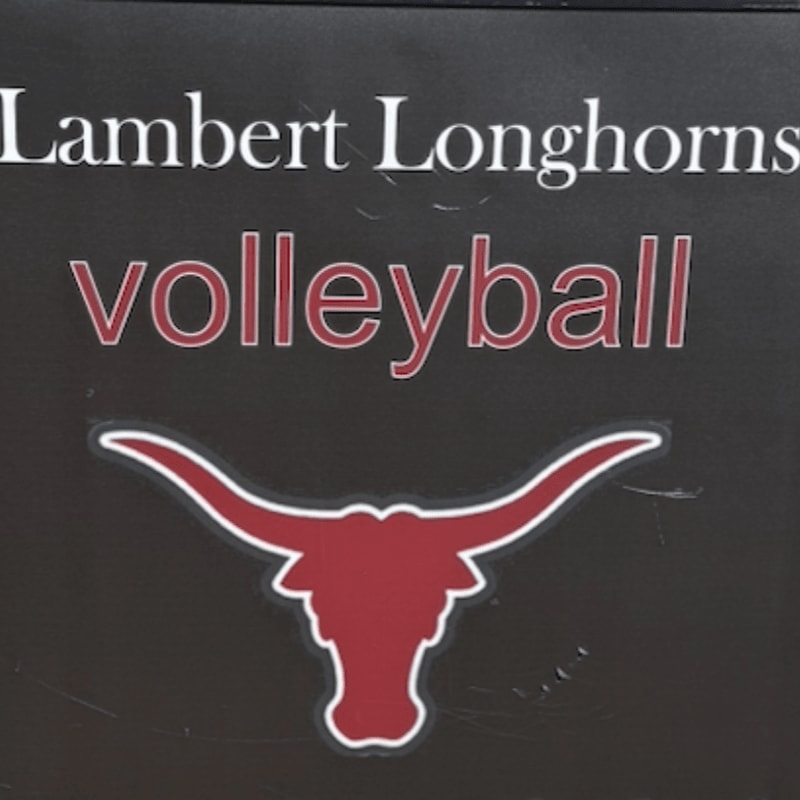 A maroon longhorn silhouette with white outlining is centered on a dark background, above the word "volleyball" in maroon, and below the words "Lambert Longhorns" in white.